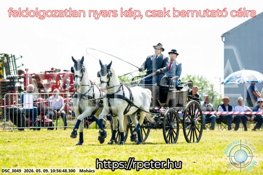 Mintakép 20260509-130