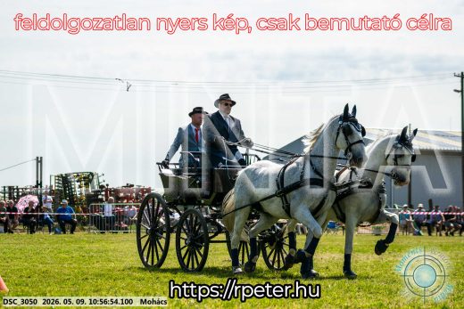 Mintakép 20260509-131