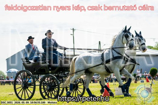 Mintakép 20260509-132