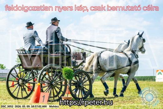Mintakép 20260509-133