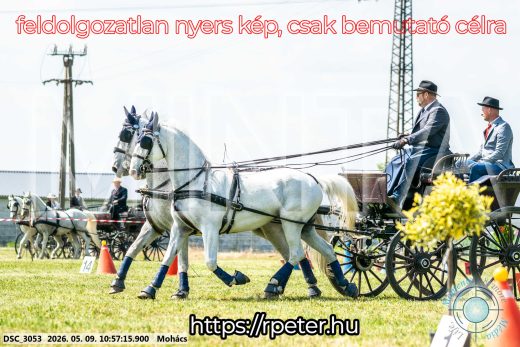 Mintakép 20260509-134