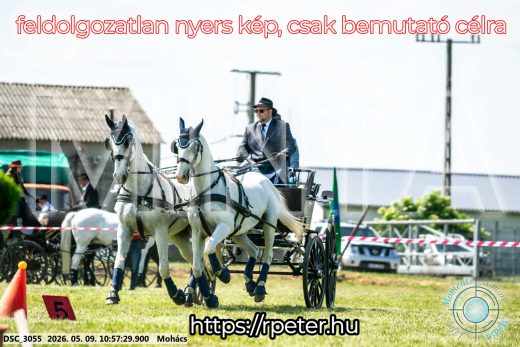 Mintakép 20260509-135