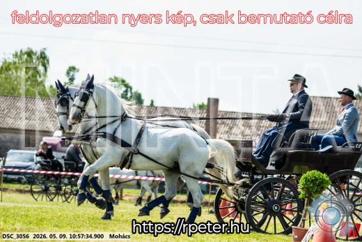 Mintakép 20260509-136
