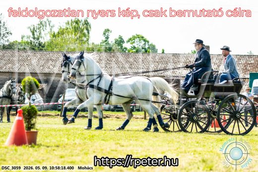 Mintakép 20260509-137
