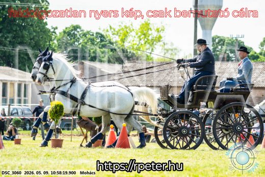 Mintakép 20260509-138