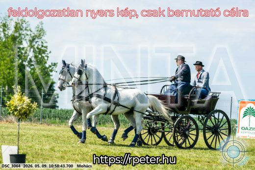 Mintakép 20260509-142