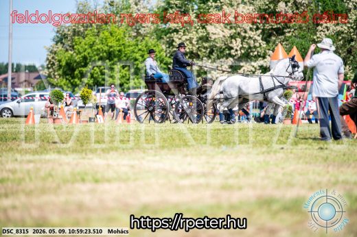 Mintakép 20260509-144
