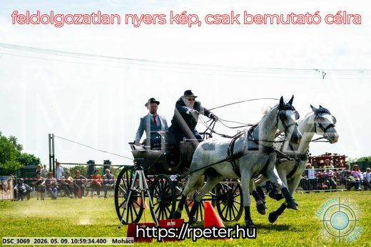 Mintakép 20260509-146