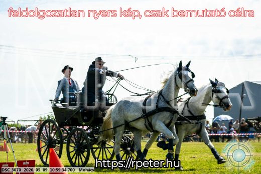 Mintakép 20260509-147