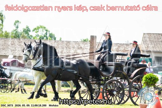 Mintakép 20260509-150