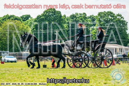 Mintakép 20260509-152