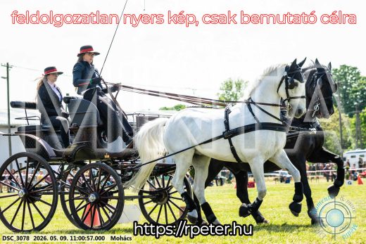 Mintakép 20260509-154