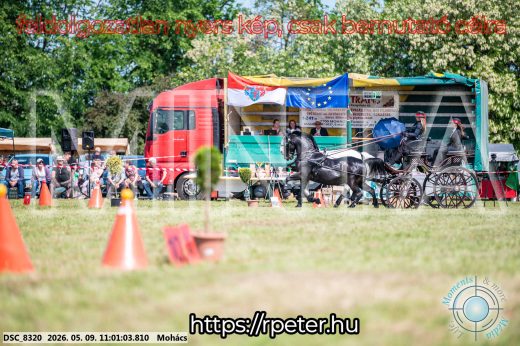Mintakép 20260509-156