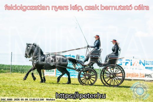 Mintakép 20260509-157