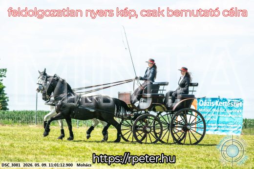 Mintakép 20260509-158