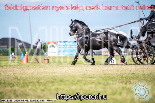 Mintakép 20260509-161
