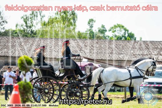 Mintakép 20260509-163