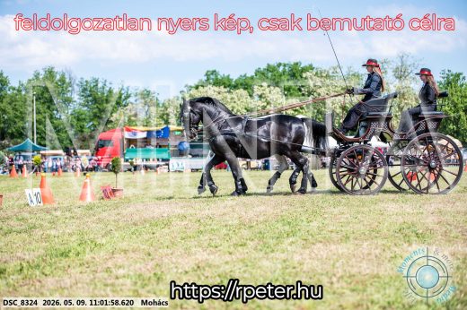 Mintakép 20260509-164