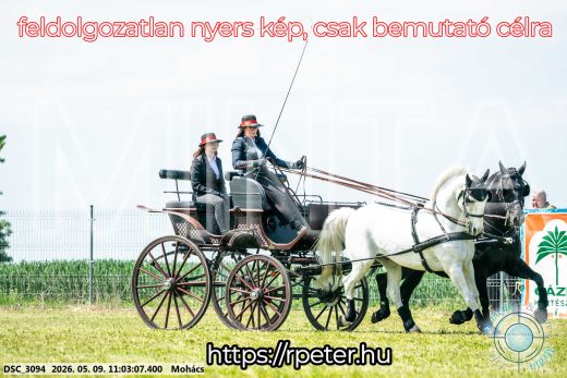 Mintakép 20260509-168