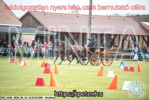 Mintakép 20260614-246