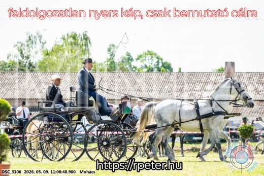 Mintakép 20260509-174