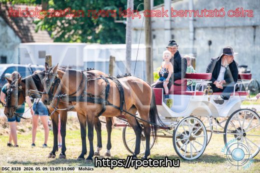 Mintakép 20260509-175