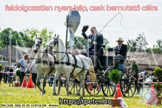 Mintakép 20260509-176