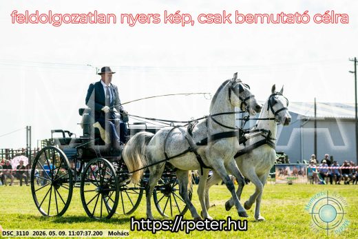 Mintakép 20260509-178