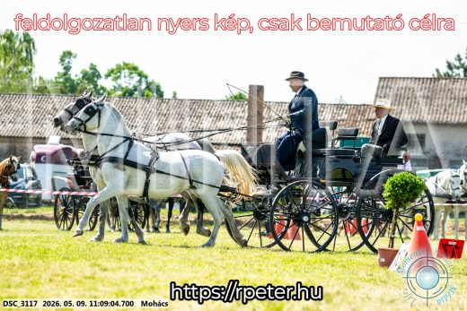 Mintakép 20260509-181