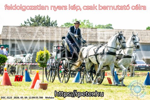 Mintakép 20260509-184