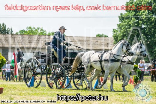 Mintakép 20260509-185