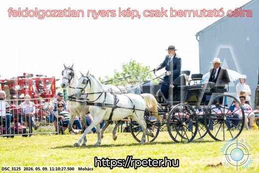 Mintakép 20260509-186