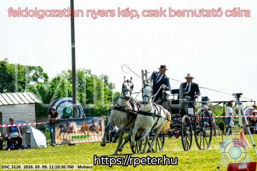 Mintakép 20260509-187