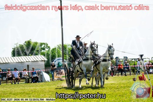 Mintakép 20260509-188