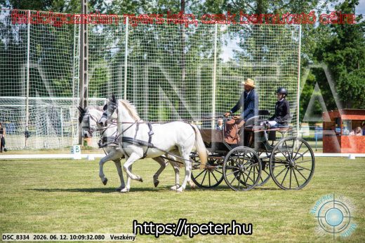 20260612-100932-DSC_8334.jpg