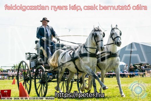 Mintakép 20260509-190