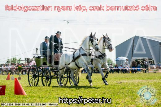 Mintakép 20260509-192