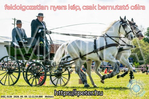 Mintakép 20260509-193