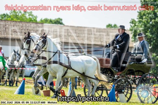 Mintakép 20260509-195