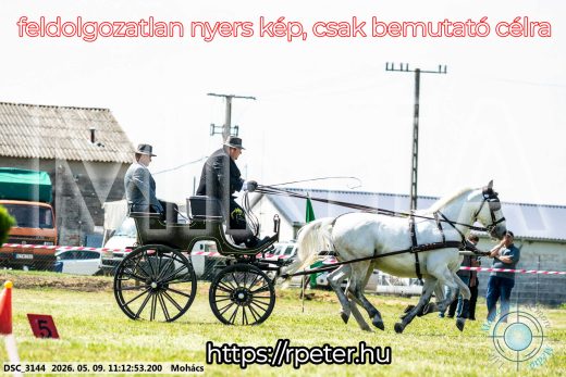 Mintakép 20260509-197