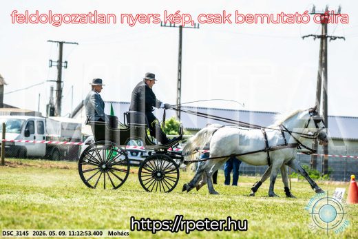 Mintakép 20260509-198