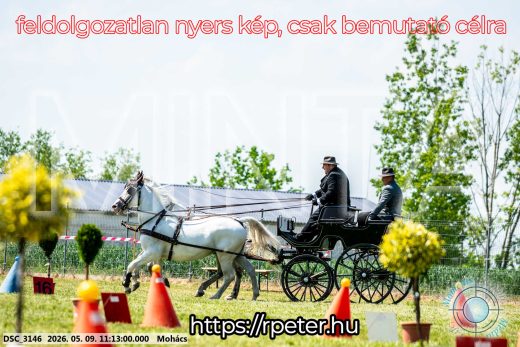 Mintakép 20260509-199