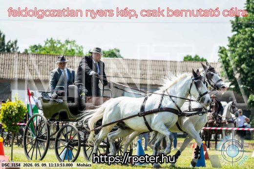 Mintakép 20260509-204