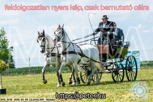 Mintakép 20260509-205
