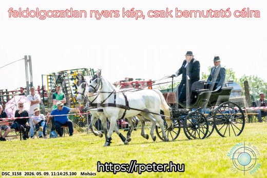 Mintakép 20260509-207