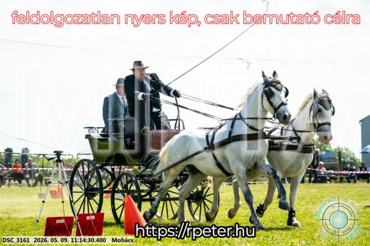 Mintakép 20260509-210