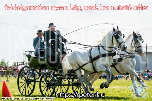Mintakép 20260509-211