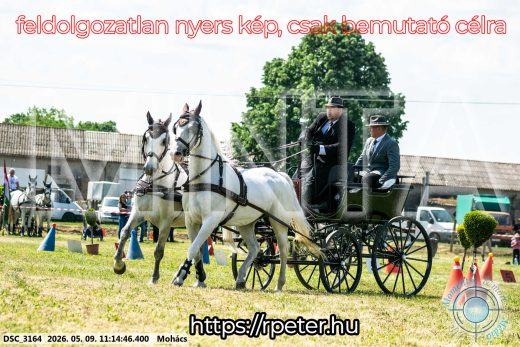 Mintakép 20260509-212