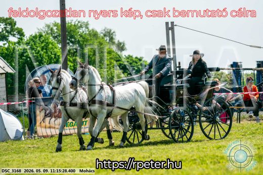 Mintakép 20260509-214