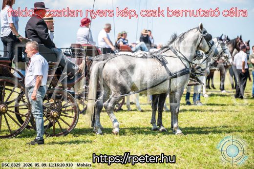 Mintakép 20260509-215